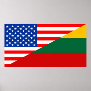 verenigde staten - amerika litouwen halve vlag vsa poster