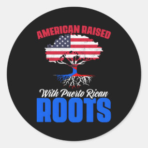 Verenigde Staten Amerika Puerto Rico Vlag Patriot Ronde Sticker