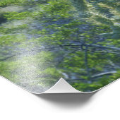 Verenigde Staten, Arizona, Organ Pipe Cactus Natio Foto Afdruk (Hoek)