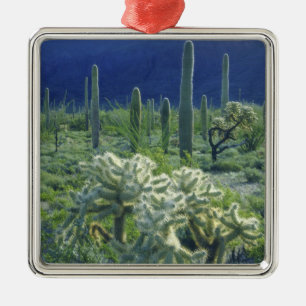 Verenigde Staten, Arizona, Organ Pipe Cactus Natio Metalen Ornament