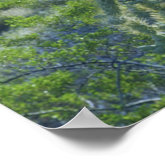 Verenigde Staten, Arizona, Organ Pipe Cactus Natio Poster (Hoek)