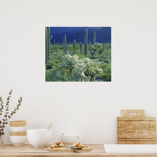 Verenigde Staten, Arizona, Organ Pipe Cactus Natio Poster (Keuken)