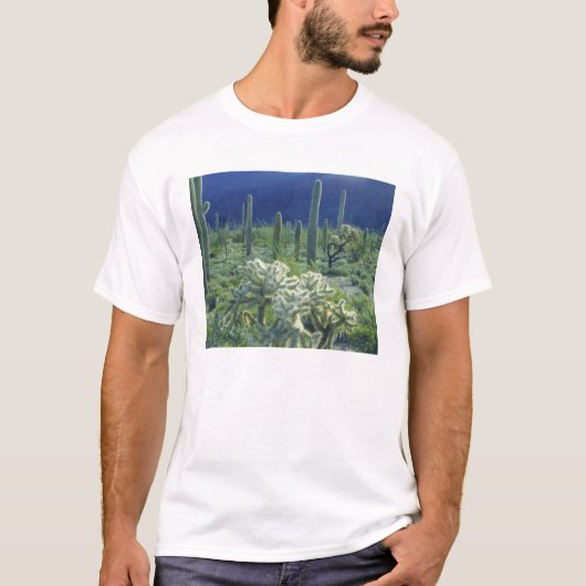 Verenigde Staten, Arizona, Organ Pipe Cactus Natio T-shirt (Voorkant)