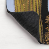 Verenigde Staten, Arizona, Tucson. Grote gehoornde Muismat (Hoek)