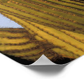 Verenigde Staten, Arizona, Tucson. Grote gehoornde Poster (Hoek)