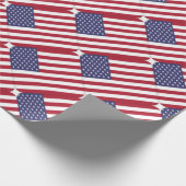 Verenigde Staten Cadeaupapier (Hoek)