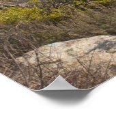 Verenigde Staten, Californië, Big Sur, Rugged kust Poster (Hoek)