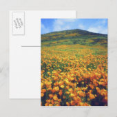 Verenigde Staten, Californië, het meer van Elsinor Briefkaart (Voorkant / Achterkant)