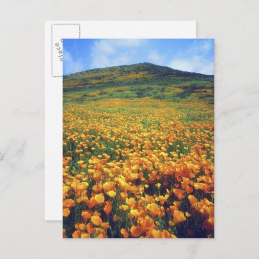 Verenigde Staten, Californië, het meer van Elsinor Briefkaart (Voorkant / Achterkant)