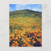 Verenigde Staten, Californië, het meer van Elsinor Briefkaart (Voorkant)