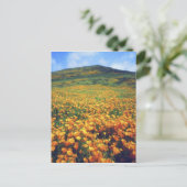 Verenigde Staten, Californië, het meer van Elsinor Briefkaart (Staand voorkant)