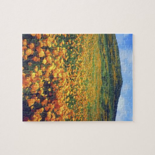 Verenigde Staten, Californië, het meer van Elsinor Legpuzzel (Horizontaal)