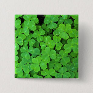 Verenigde Staten, Californië, Jedediah Smith Rewo Vierkante Button 5,1 Cm