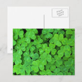 Verenigde Staten, Californië, Jedediah Smith Rewoo Briefkaart (Voorkant / Achterkant)