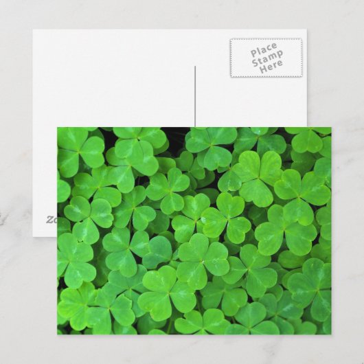 Verenigde Staten, Californië, Jedediah Smith Rewoo Briefkaart (Voorkant / Achterkant)