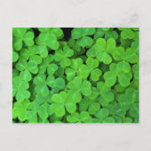 Verenigde Staten, Californië, Jedediah Smith Rewoo Briefkaart (Voorkant)