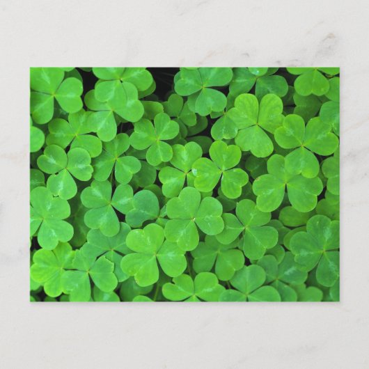 Verenigde Staten, Californië, Jedediah Smith Rewoo Briefkaart (Voorkant)