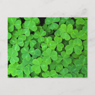 Verenigde Staten, Californië, Jedediah Smith Rewoo Briefkaart