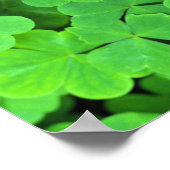 Verenigde Staten, Californië, Jedediah Smith Rewoo Poster (Hoek)