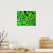 Verenigde Staten, Californië, Jedediah Smith Rewoo Poster (Keuken)