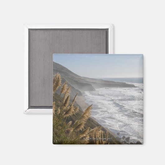 Verenigde Staten, Californië, Mendocino-kust Magneet (Voorkant / Achterkant)