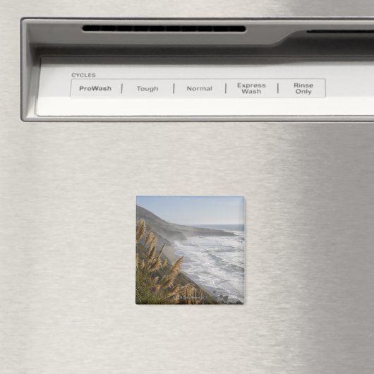 Verenigde Staten, Californië, Mendocino-kust Magneet (Insitu (Vaatwasser))