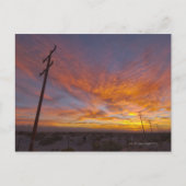 Verenigde Staten, Californië, Palm Springs, elektr Briefkaart (Voorkant)