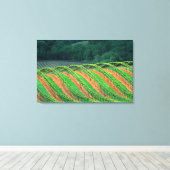 Verenigde Staten, Californië, provincie Mendocino, Canvas Afdruk (Insitu (Houten vloer))