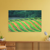 Verenigde Staten, Californië, provincie Mendocino, Canvas Afdruk (Insitu (Woonkamer))