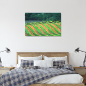 Verenigde Staten, Californië, provincie Mendocino, Canvas Afdruk (Insitu (Slaapkamer))