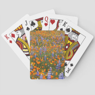 Verenigde Staten, Californië, Santa Margarita, Ave Pokerkaarten