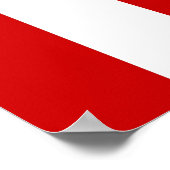 Verenigde Staten Civil Flag Sons of Liberty Variat Poster (Hoek)