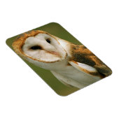 Verenigde Staten, Colorado, Broomfield. Barn owl Magneet (Rechterzijde)