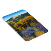 Verenigde Staten, Colorado. Heldergele spens in Ro Magneet (Rechterzijde)