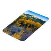 Verenigde Staten, Colorado. Heldergele spens in Ro Magneet (Linkerzijde)