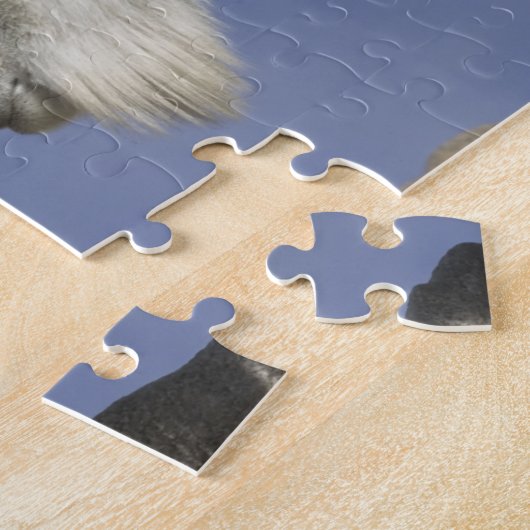 Verenigde Staten, Colorado, Mount Evans. Berggeite Legpuzzel (Zijkant)