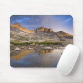 Verenigde Staten, Colorado, Rocky Mountain NP.  St Muismat (Met muis)