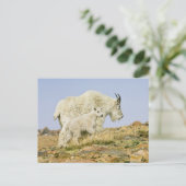 Verenigde Staten, Colorado, Rocky Mountains, Mount Briefkaart (Staand voorkant)