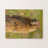 Verenigde Staten, Colorado, San Juan-bergen Legpuzzel (Horizontaal)