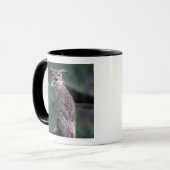 Verenigde Staten, Colorado Springs. grote gehoornd Mok (Voorkant links)