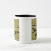 Verenigde Staten, Colorado, Steamboot Springs, hoo Mok (Midden)