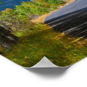 Verenigde Staten, Colorado. Weg met aspennen Poster (Hoek)