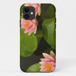 Verenigde Staten, DC, Washington, Kenilworth 4 Case-Mate iPhone Case