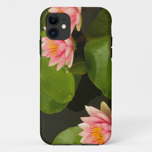 Verenigde Staten, DC, Washington, Kenilworth 4 Case-Mate iPhone Case (Achterkant)