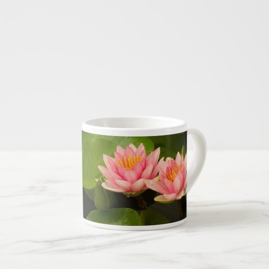 Verenigde Staten, DC, Washington, Kenilworth 4 Espresso Kop (Voorkant rechts)