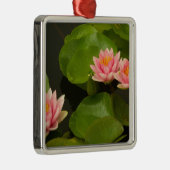 Verenigde Staten, DC, Washington, Kenilworth 4 Metalen Ornament (Rechts)