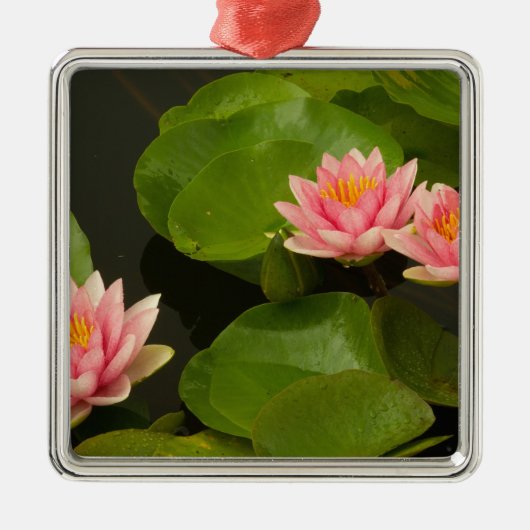 Verenigde Staten, DC, Washington, Kenilworth 4 Metalen Ornament (Voorkant)