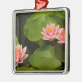 Verenigde Staten, DC, Washington, Kenilworth 4 Metalen Ornament (Links)