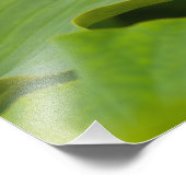 Verenigde Staten, DC, Washington, Kenilworth Foto Afdruk (Hoek)