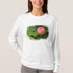 Verenigde Staten, DC, Washington, Kenilworth T-shirt